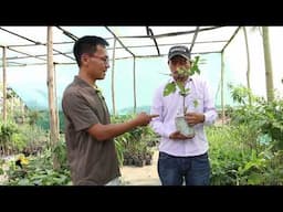 Khut Nasep P Lalbiaklian Proprietor Tungin Nursery