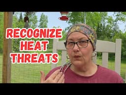 Beat the Heat With These Simple Tips!