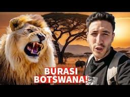 AFRİKA’NIN VAHŞİ DOĞASINDA ASLANLARLA YÜZYÜZE! BAKIN NELER YAŞADIK! BURASI BOTSWANA!