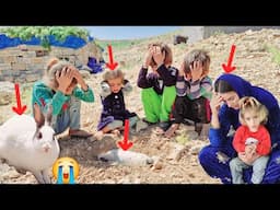 Parvaneh and Celine: A journey into the wonderful world of rabbits😭😭