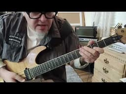 BRAD GILLIS played on this song: WITNESS - Show Me What You Got - Guitar Lesson