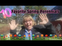 10 Favorite Spring Blooming Perennials