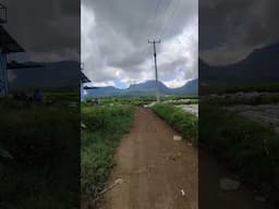 #shortvideo #alamindonesia #suasanaalamgarut #alampedesaan #sulingsunda