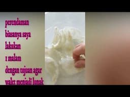 cara memasak sarang burung walet