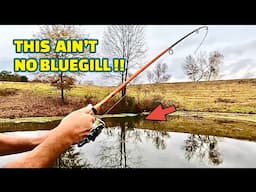 (CRAZY) Fishing with HUGE BAIT using BOBBER SPLIT-SHOT and HOOK !!!