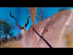 Crazy Video Of Arrow In Flight Then Hitting Kudu