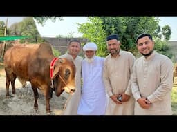 Eid Ul Adha Mubarak ( 2025 )