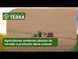 Agricultores aceleram plantio de cevada e produção deve crescer | Negócios da Terra (05/06/2025)