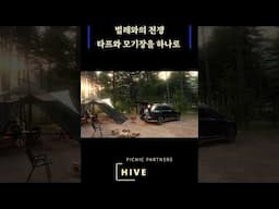 캠핑 / 벌레와의 전쟁 / 피크닉 파트너스 하이브 #캠핑 #여름캠핑 #모기장타프