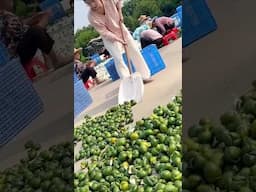 This peel trick made someone rich—you’ll never see oranges the same! #shorts #trending #viralvideo