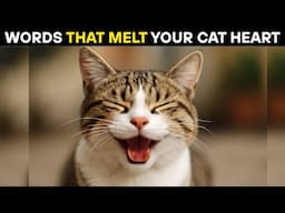 10 Secret WORDS That TOUCH Your Cat’s HEART - What They Wish You Knew