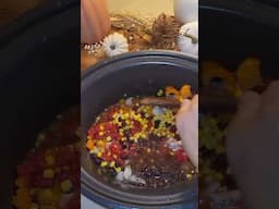 Crockpot Nacho Soup Episode 1
