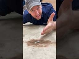 Rockler's Magnetic Floor Sweep Attachment connects right to your Dust Right Floor Sweep!
