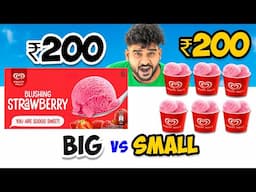 ₹160 Big Ice Cream  vs  ₹10 × 16 Small ice Creams || किसमे ज़्यादा आइस क्रीम, कोंन जीतेगा ??