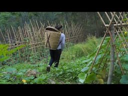 The girl lives in a remote valley, a pig's cradle and has all the elements to survive a lifetime.