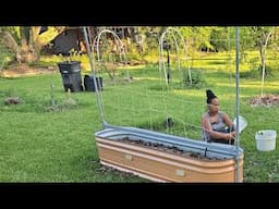 Rather Grow a 50$ tomato than buy one for 50 cents is how I think...