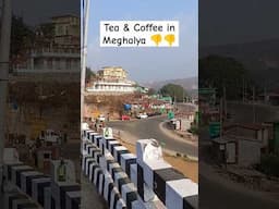 If you are from North India Make Your Own Tea in North East India #meghalaya #northeastindia