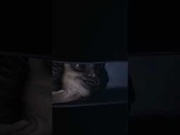 Disturbing Video Game Bosses: The Teacher