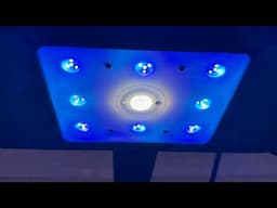 AI Hydra Edge - Is This New Reef Light Worth The Money?
