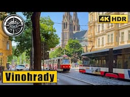 Summer Linden Blossom in Prague | Peaceful Walk Through Vinohrady | 4K HDR