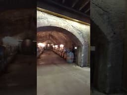 Buena Vista winery Sonoma #winery #wine #winetasting #sonoma