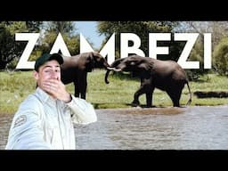 My Journey to Zimbabwe: Chobe → Zambezi (Safari VLOG)