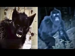 Most Disturbing Creatures Caught on Trail Cam 2025