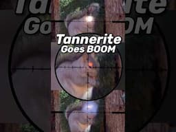 Is Tannerite More Effective on Squirrels?