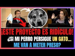 ¡ABSURDO! | ¿Si tu perro muerde un gato te vas preso? | ¿Absurdo legal o avance?