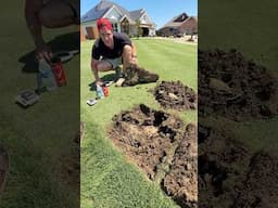 Megalodon Tooth in my Lawn