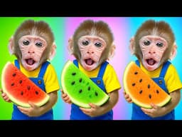 KIKI Monkey play Colorful Watermelon Vending Machine and Swimming with Ducklings | KUDO ANIMAL KIKI