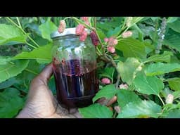 How To Make Mulberry Jam At Home. Very Easy Recipe.