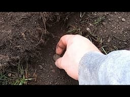 Sometimes you find treasure in the most unlikely places! Ep 341