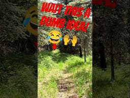 Came Across A Bear! 🐻🎥