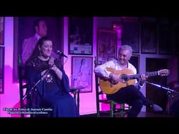 Filo de los Patios con Antonio Carrión - Fandangos por Bulerías / Pozoblanco