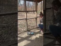 Renovating The Chicken Coop Day 2 #chicken #chickencoop #shortsvideo