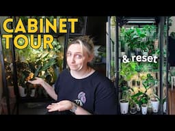 50+ Plants in One Cabinet?! 🌿 Greenhouse Tour & Glow-Up!