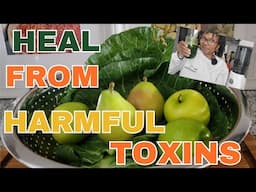 ANTI-INFLAMMATORY GREEN JUICE | How to Heal From Harmful Toxins Fast!