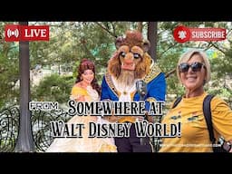 Somewhere in Walt Disney World #live