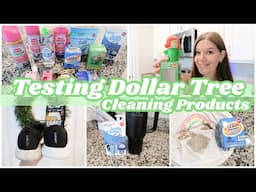 Testing Dollar Tree Cleaning Products So You Don’t Have To!
