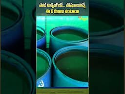 Processed Cocopeat #PrakruthiVyavasayam #GhanaJeevamrutham #GoKrupaAmrutam #ProcessedCocopeat #farm