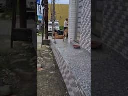 Damru ne Nahi pehchaana ya dhang se pehchaan liya? 😂
