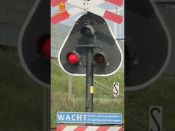 Dutch Railroad Crossing