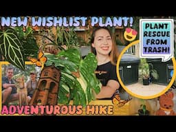 I got a wishlist plant and rescued a plant from trash in the same week!💚😲🌿