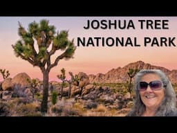 My 1st Time at Joshua Tree National Park Black Rock Canyon Campground CA - S10.E40