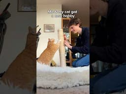 Try This With Your Cat