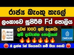 🇱🇰Best Bank To Start a Fixed Deposit |Sampath bank Commercial bank latest fd rates in sri lanka 2025