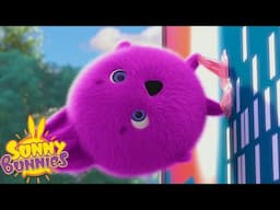 Sticky Feet - Sunny Bunnies | Cartoons For Kids
