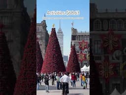A long weekend in Mexico City under $300 a person #budgettravel #mexicotravel #travelguide