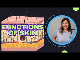 What Does Your Skin Really Do? | 5 Powerful Functions of the Integumentary System